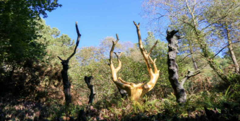 جاهای ترسناک فرانسه