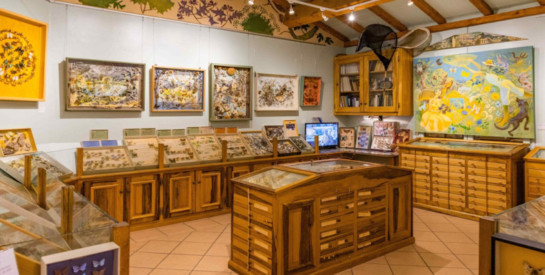 موزه پروانه‌ها