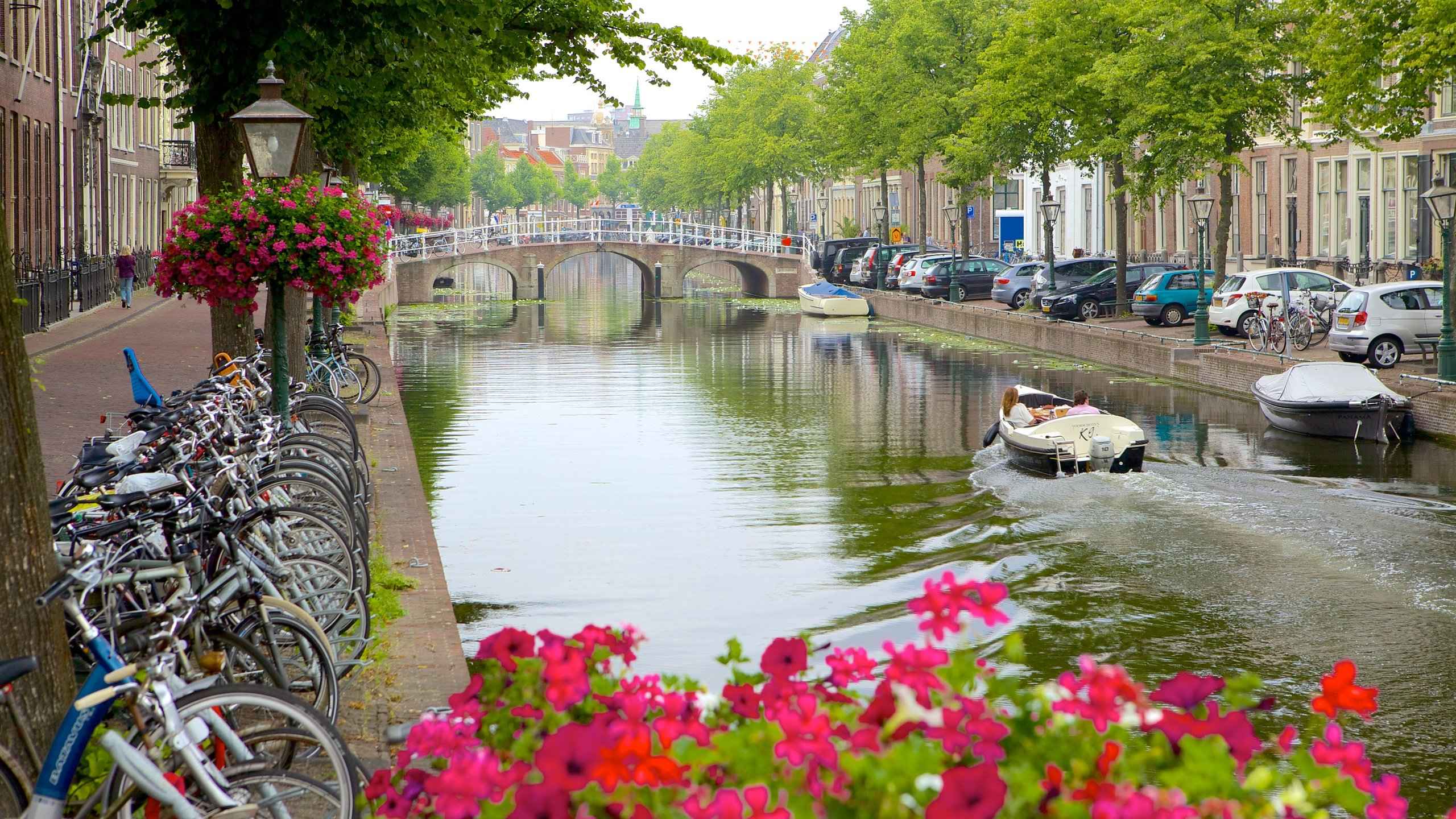 راهنمای سفر به کن فرانسه