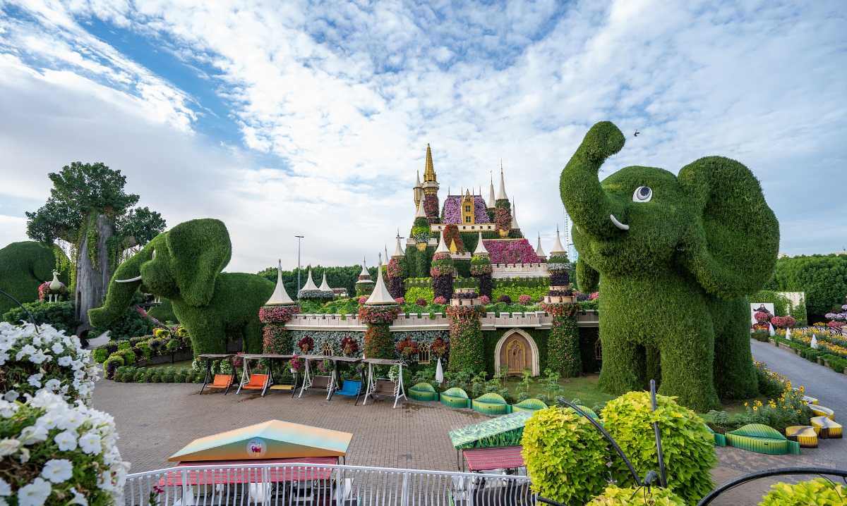 میراگل گاردن دبی