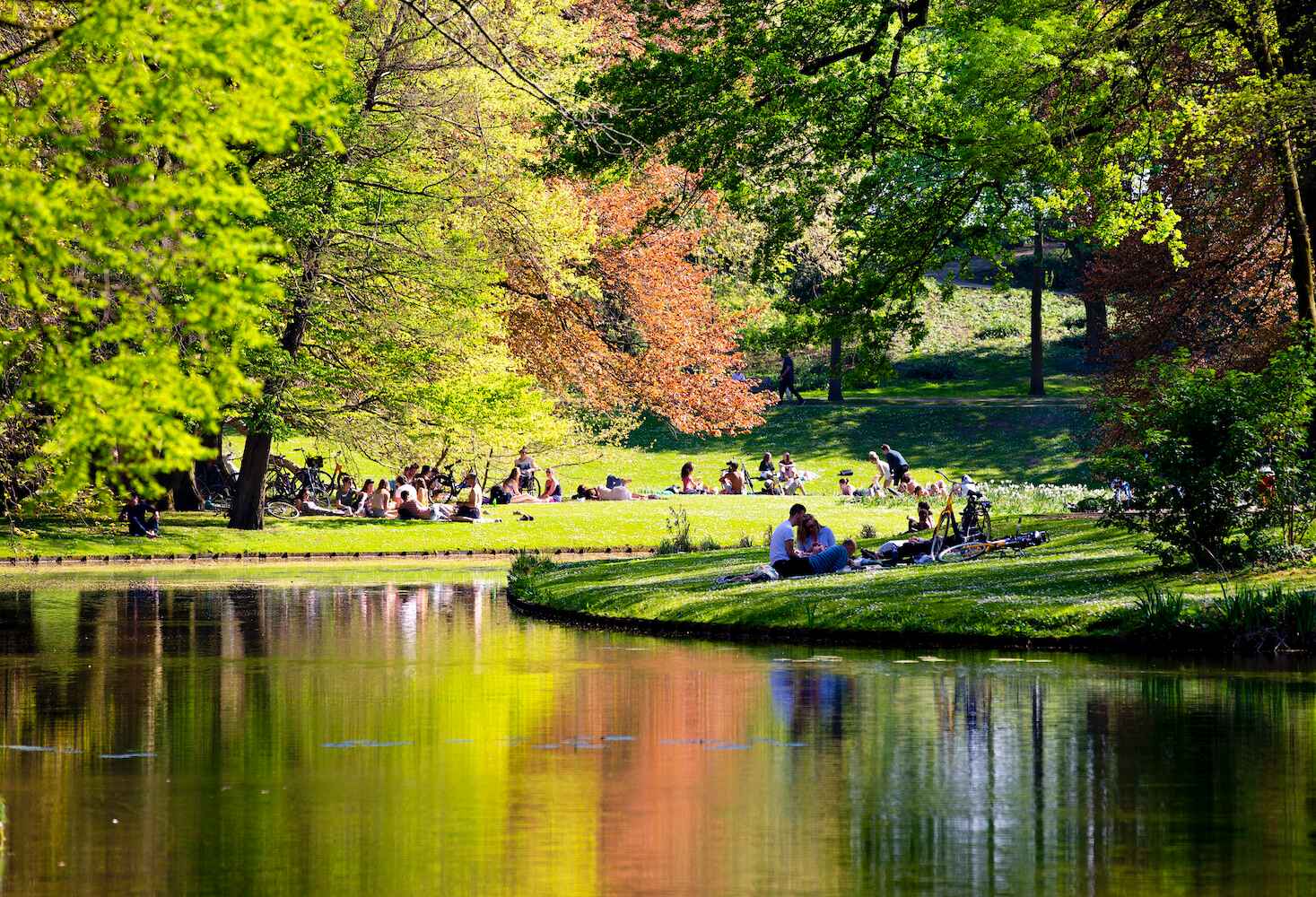  جاهای دیدنی روتردام هلند