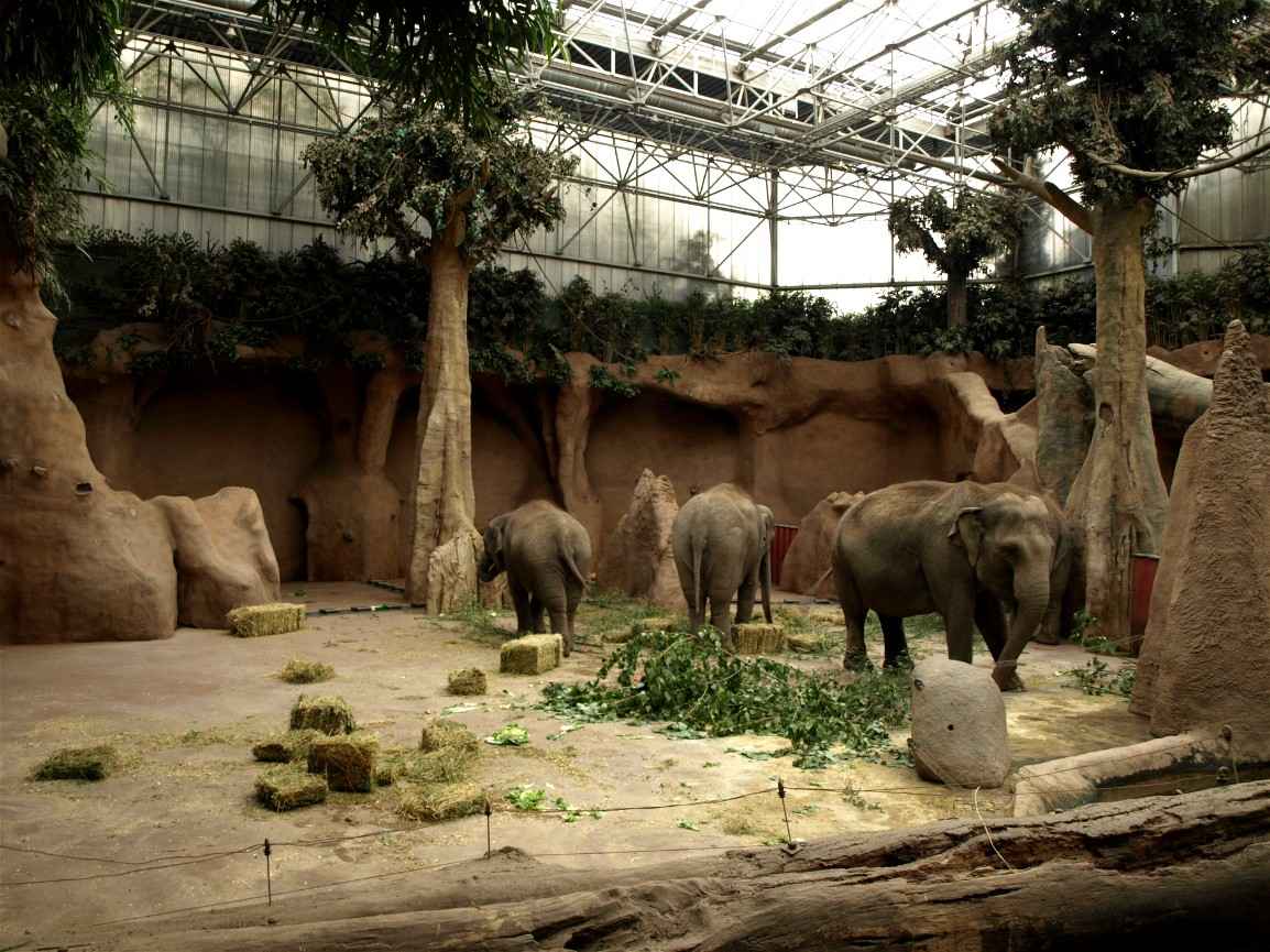 باغ‌وحش؛ از جاهای دیدنی روتردام