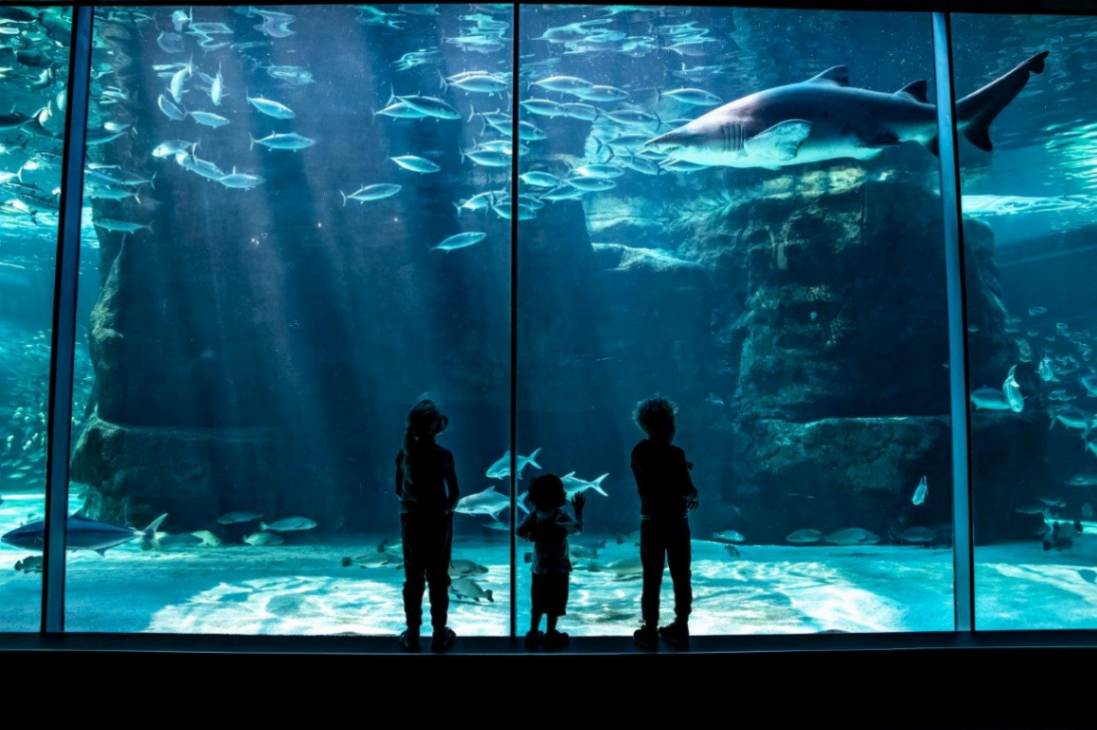 جاهای دیدنی کیپ تاون