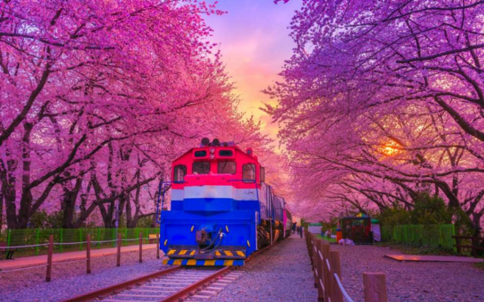 جاهای دیدنی کره جنوبی