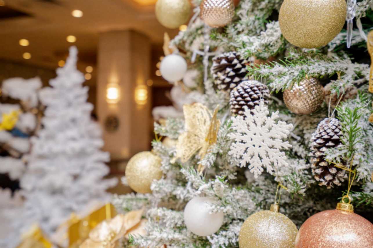 هترین زمان سفر به سریلانکا