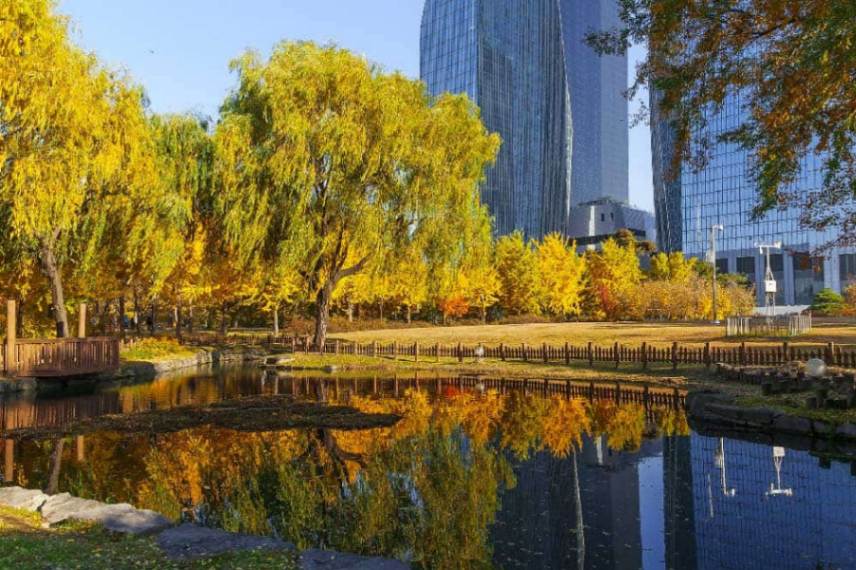 بدترین زمان برای سفر به کره جنوبی