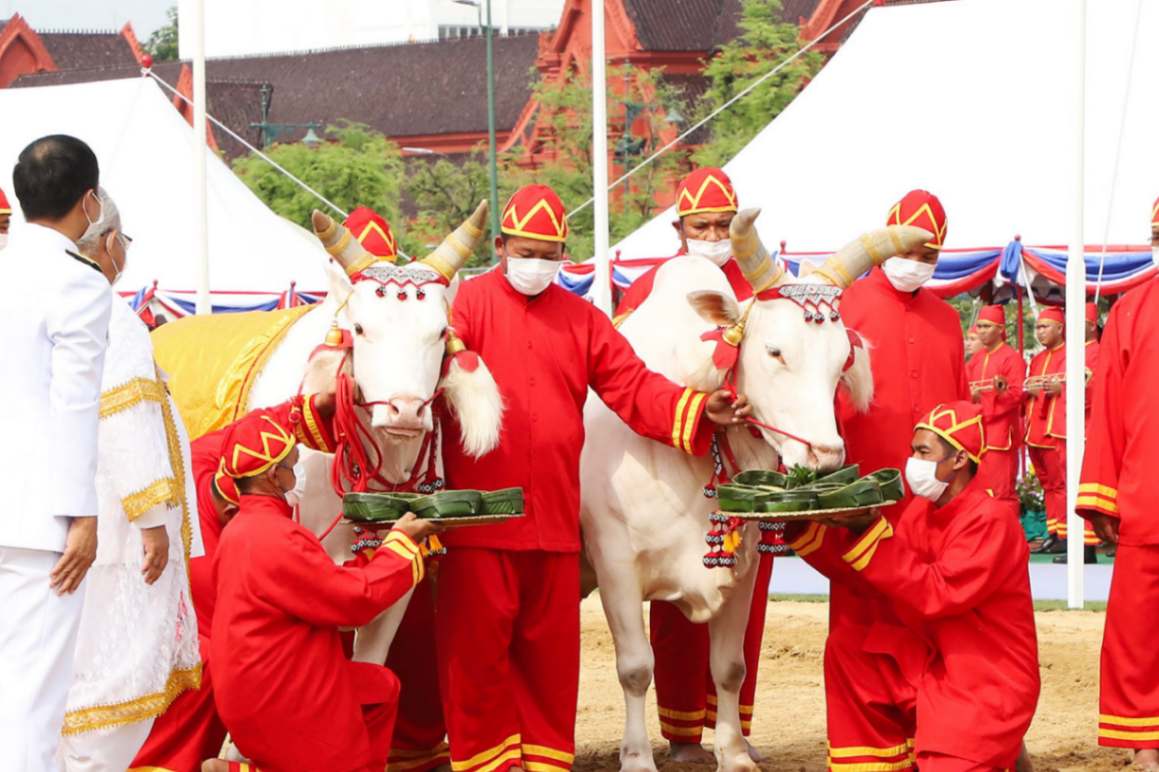 جشن شخم‌زنی سلطنتی