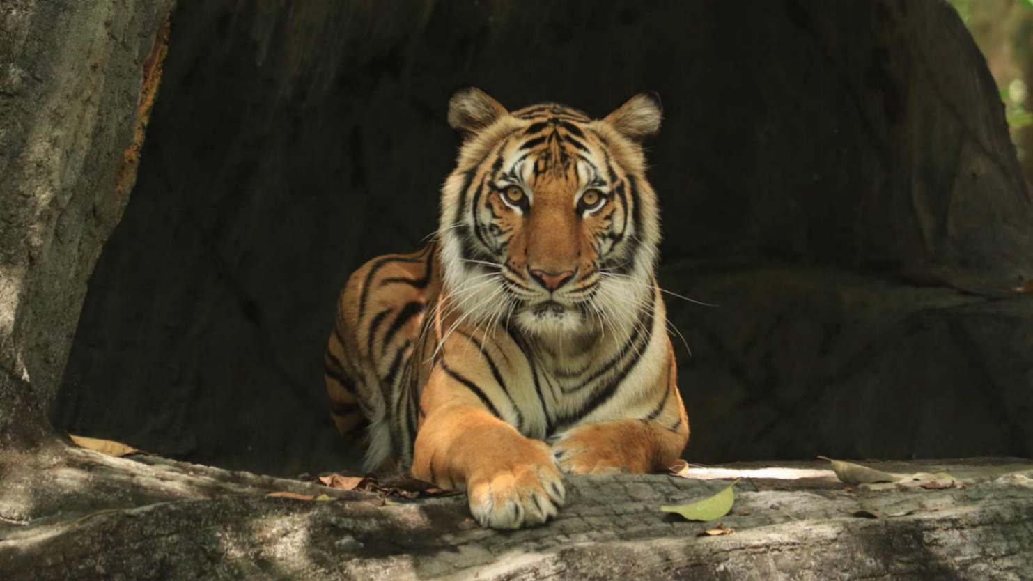 جاذبه های گردشگری شهر پنوم پن کامبوج