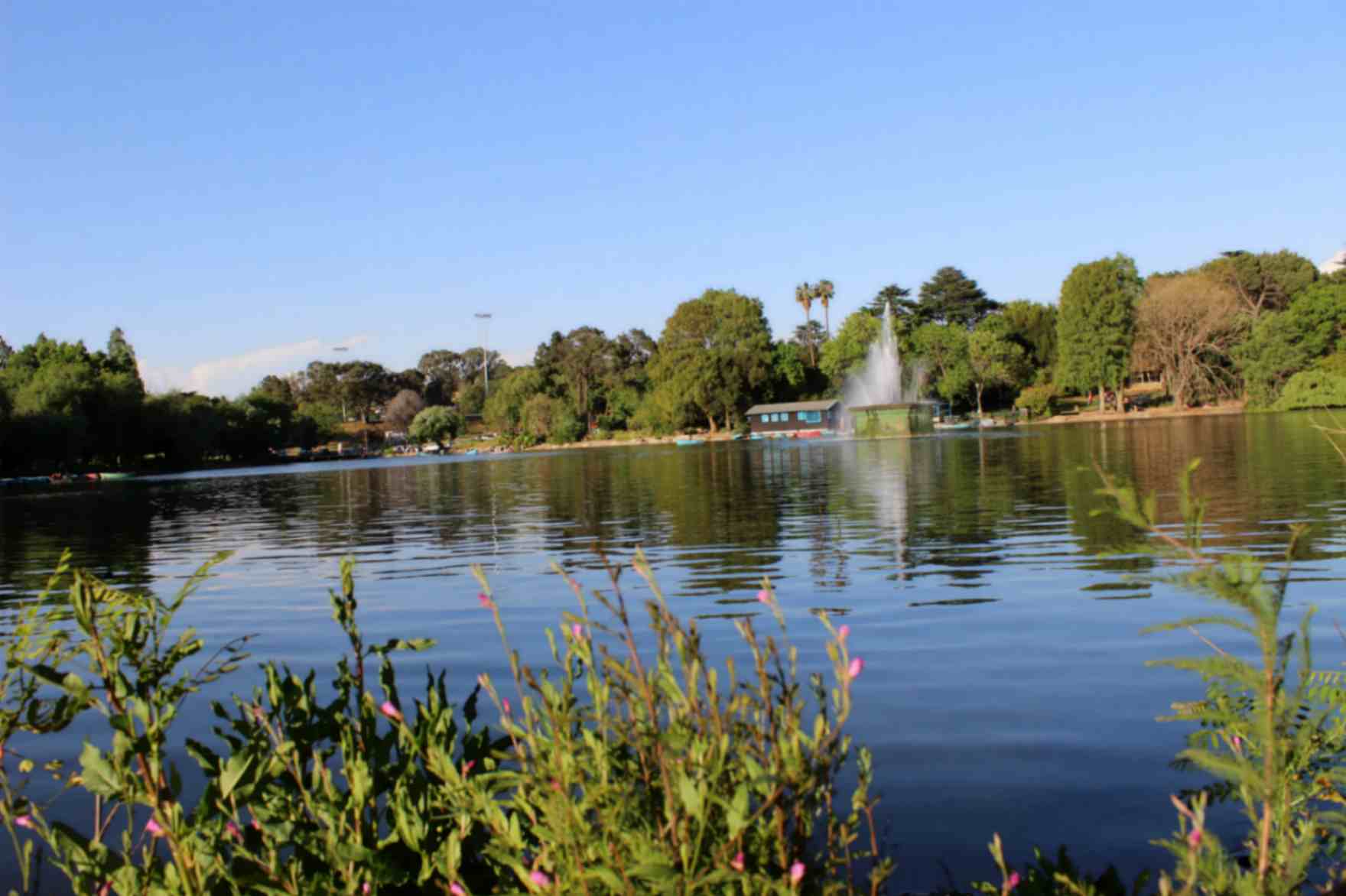 جاهای دیدنی ژوهانسوبرگ