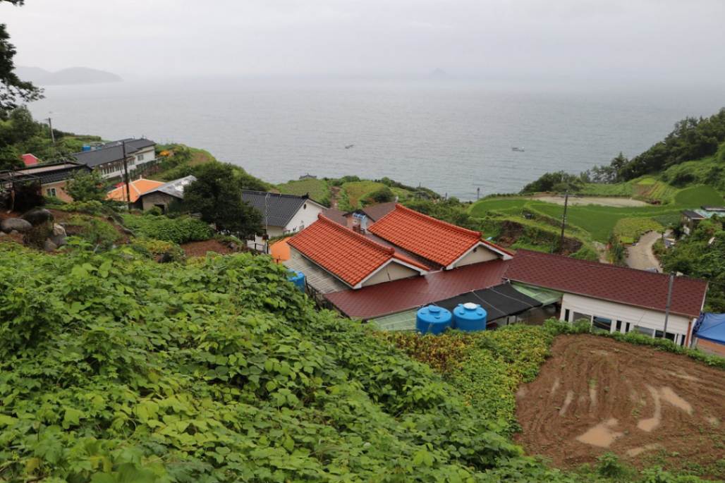 دهکده دارنجی: جذاب و تماشایی