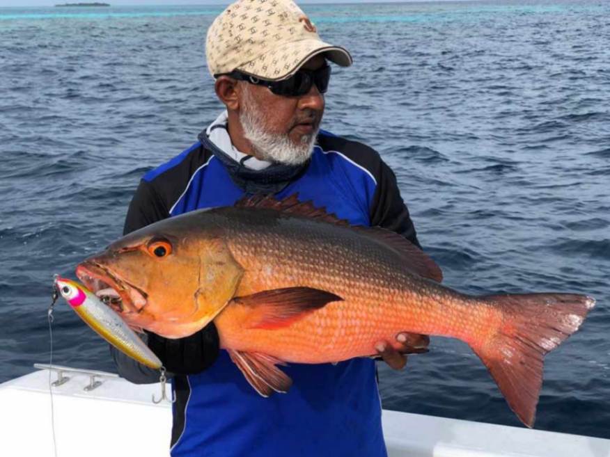 سفر به مالدیو در تیرماه