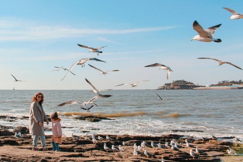 بهترین سواحل کره جنوبی