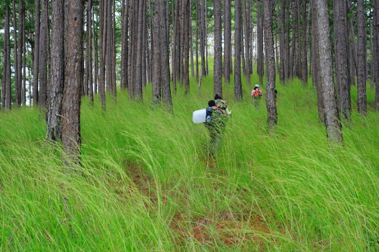 پارک های ملی ویتنام