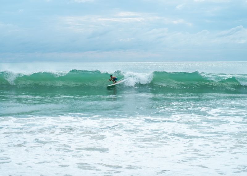 سفر به سامویی