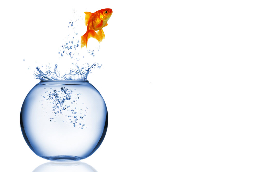 قوانین عجیب ایتالیا