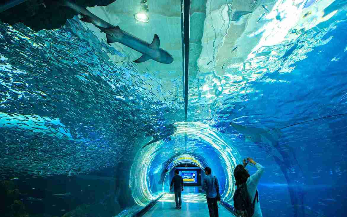 جاهای دیدنی جیجو