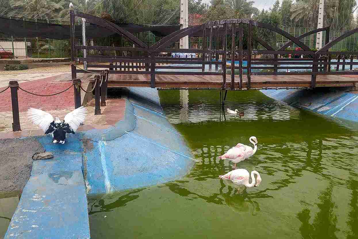 باغ پرندگان بندرعباس