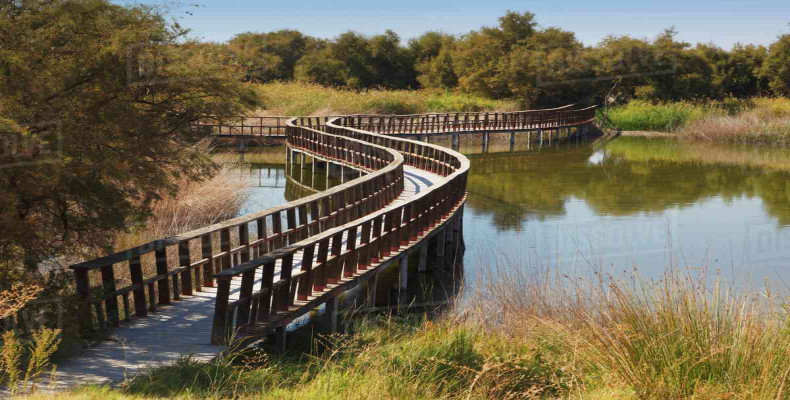 پارک های ملی اسپانیا