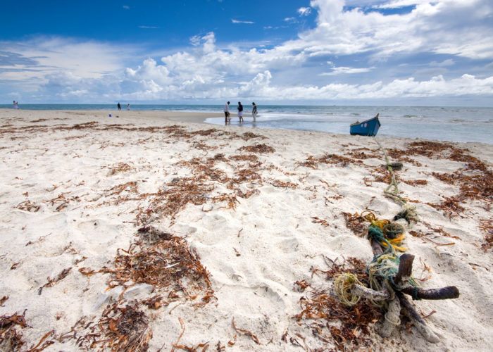 پارک ملی دریایی Adam’s Bridge 