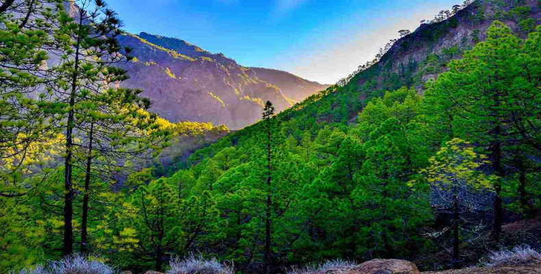  کالدرا دِ تابورینته