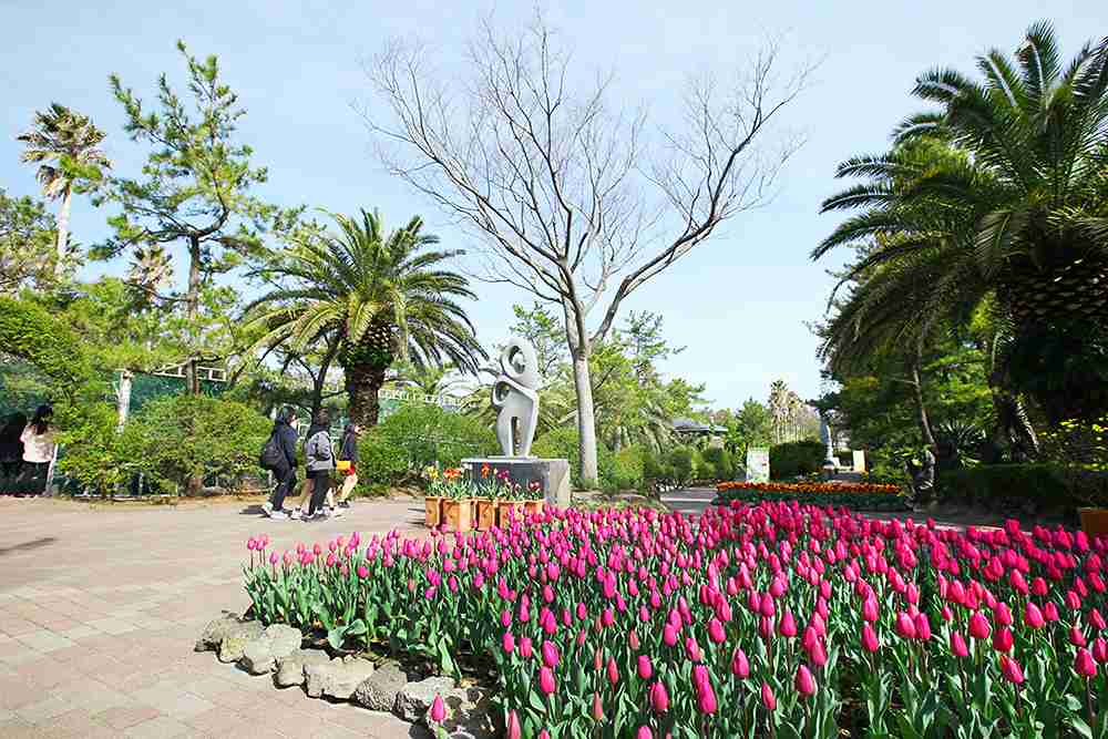 جاهای دیدنی جیجو