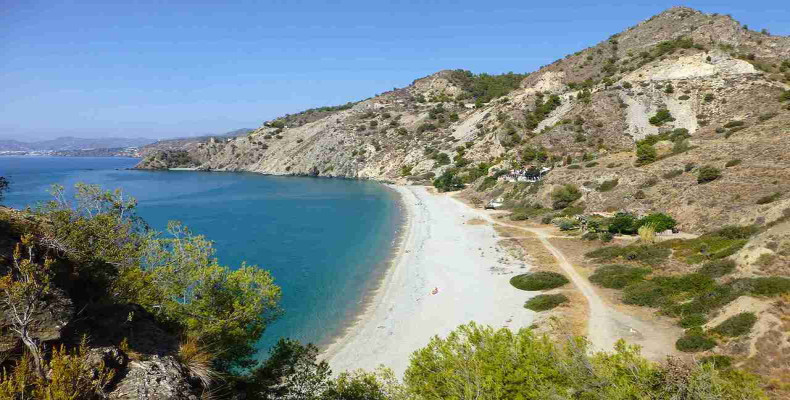 پلایا دِل کانوئلو