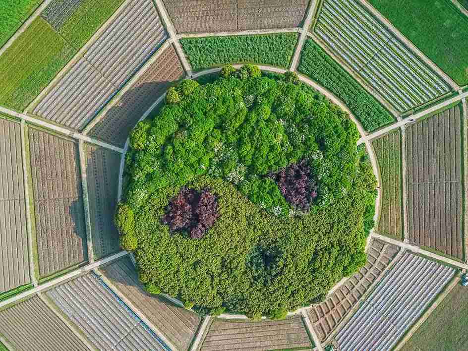 Eight Diagrams Field هانگژو؛ یکی از بهترین دلایل سفر به هانگژو 