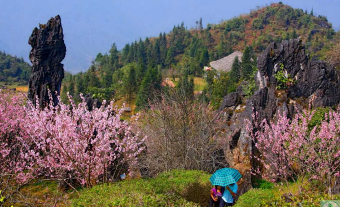 بهترین زمان سفر به ویتنام