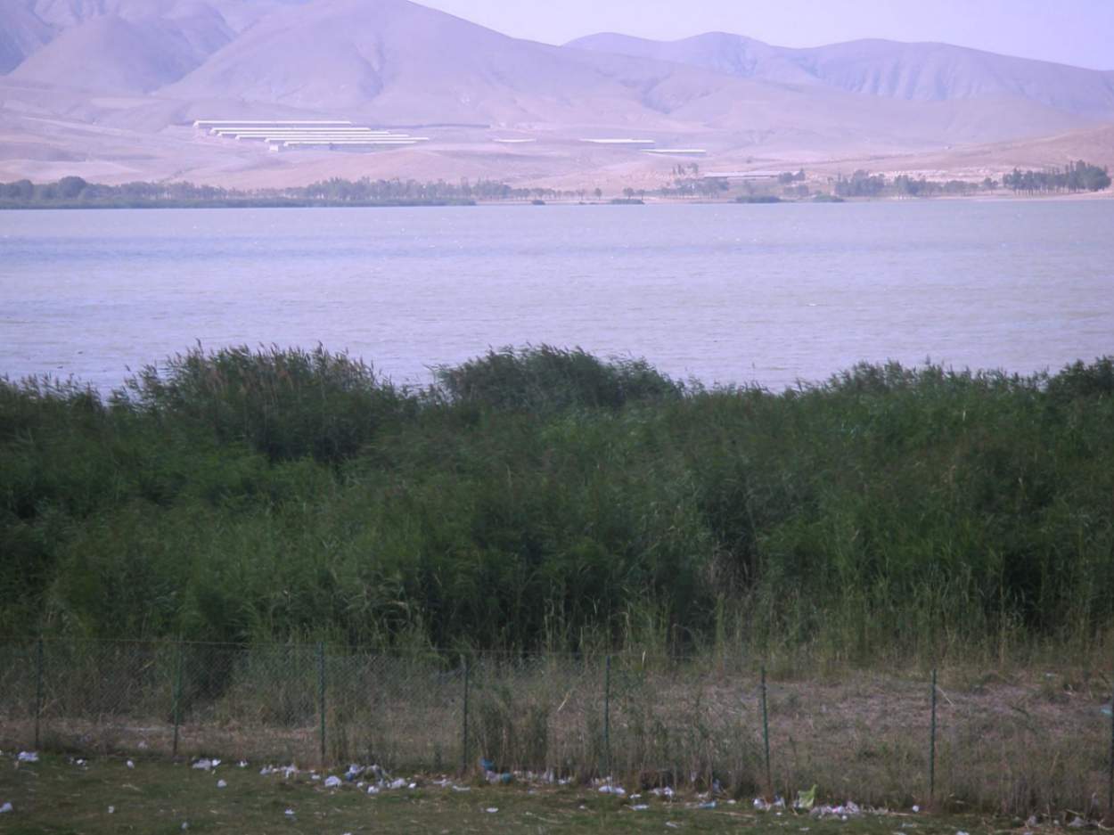 سفر به تبریز در تابستان