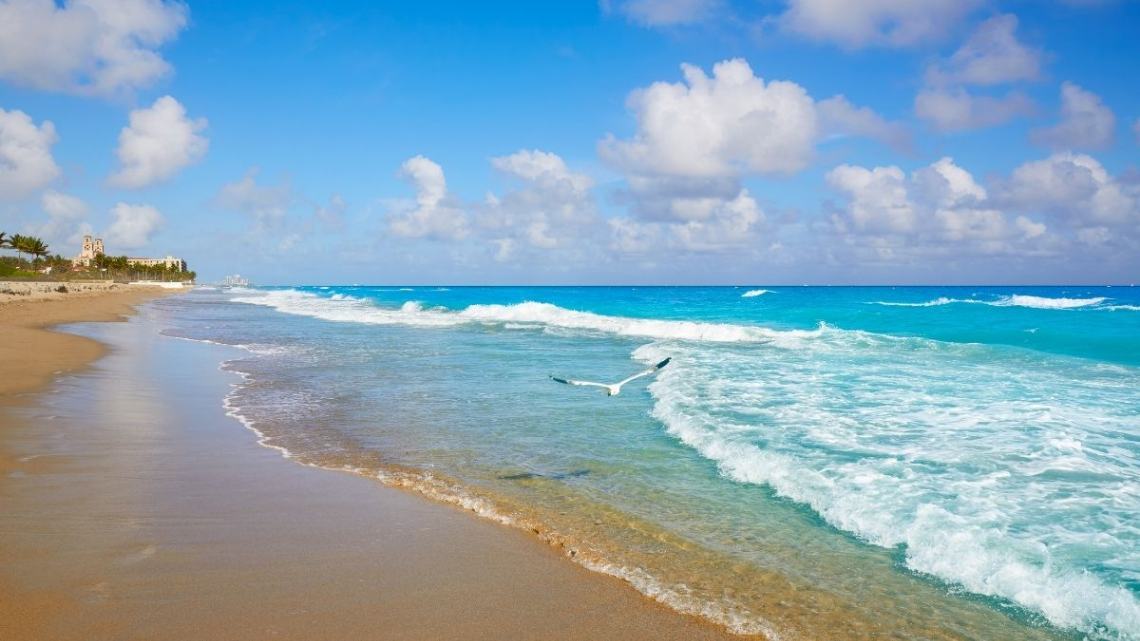 دلایل سفر به جیجو