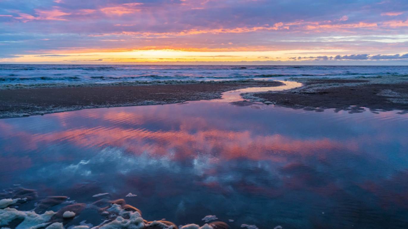 ماه عسل در هلند 