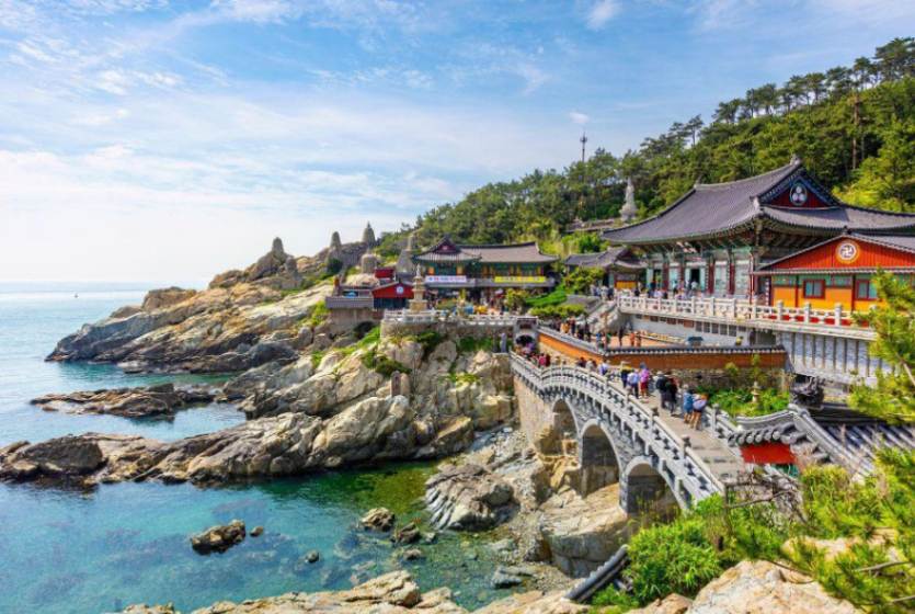 بوسان به چی معروفه؟