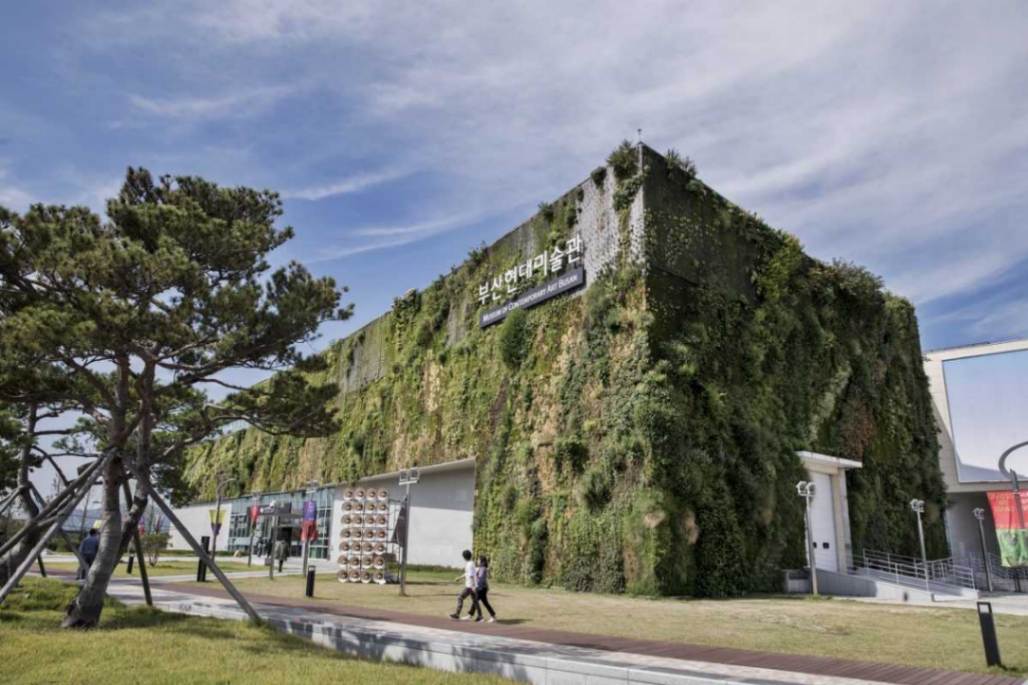 دلایل سفر به بوسان