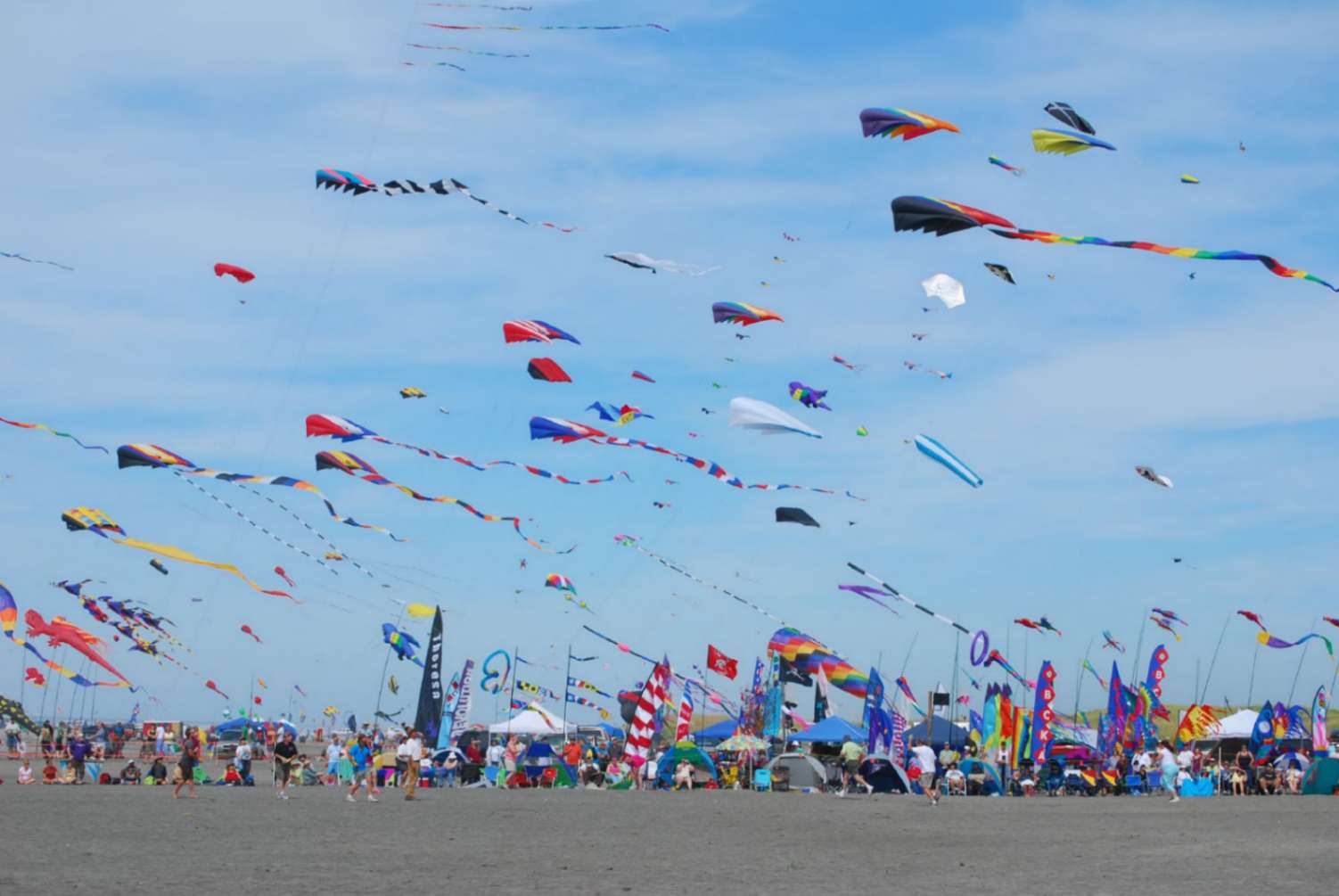 فستیوال ‌های آفریقای جنوبی