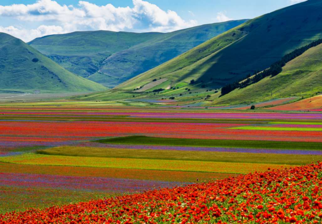 جاهای مخفی ایتالیا؛ Castelluccio di Norcia