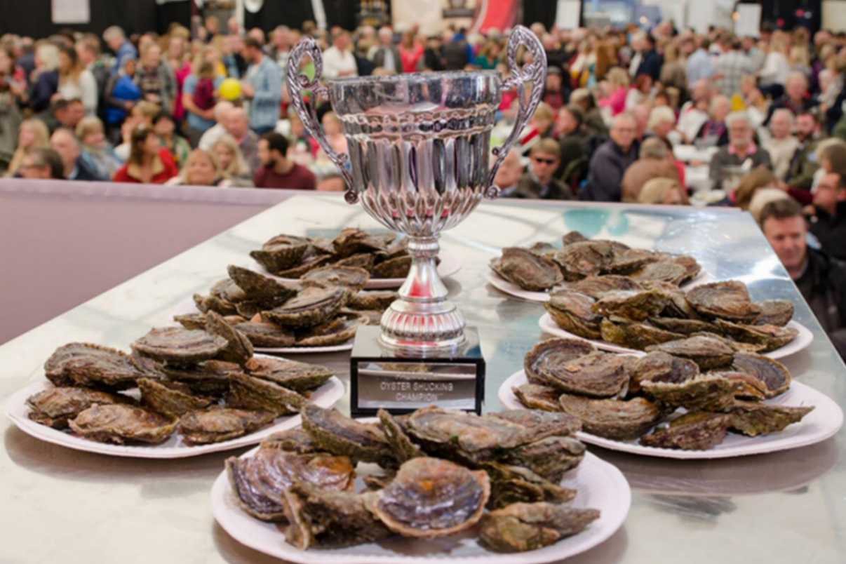 فستیوال ‌های آفریقای جنوبی؛ Oyster Festival