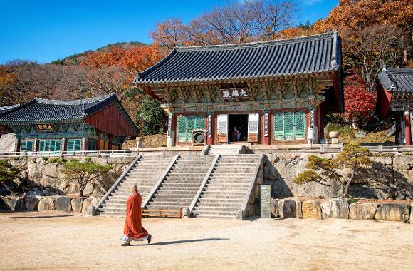 جاهای دیدنی بوسان