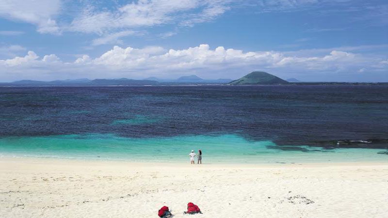 بهترین سواحل جیجو