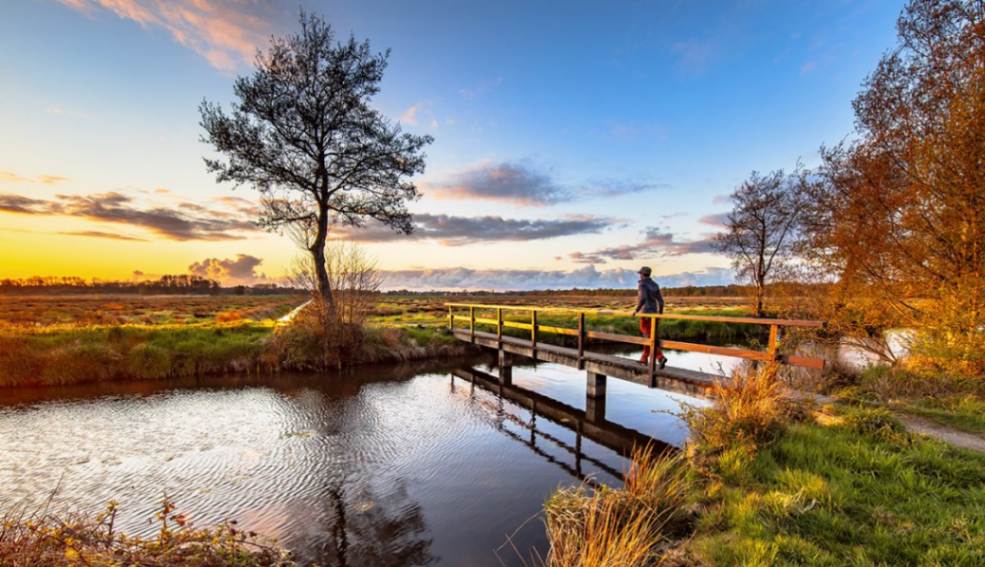 طبیعت هلند؛ جهان مینیاتوری به همراه تصاویر شاعرانه!