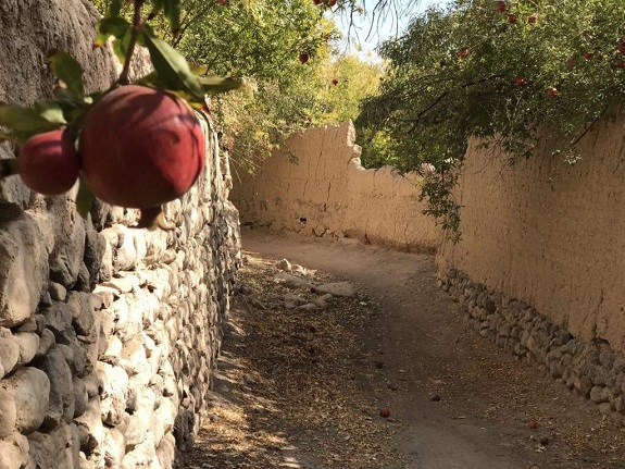 سفر به یزد در پاییز