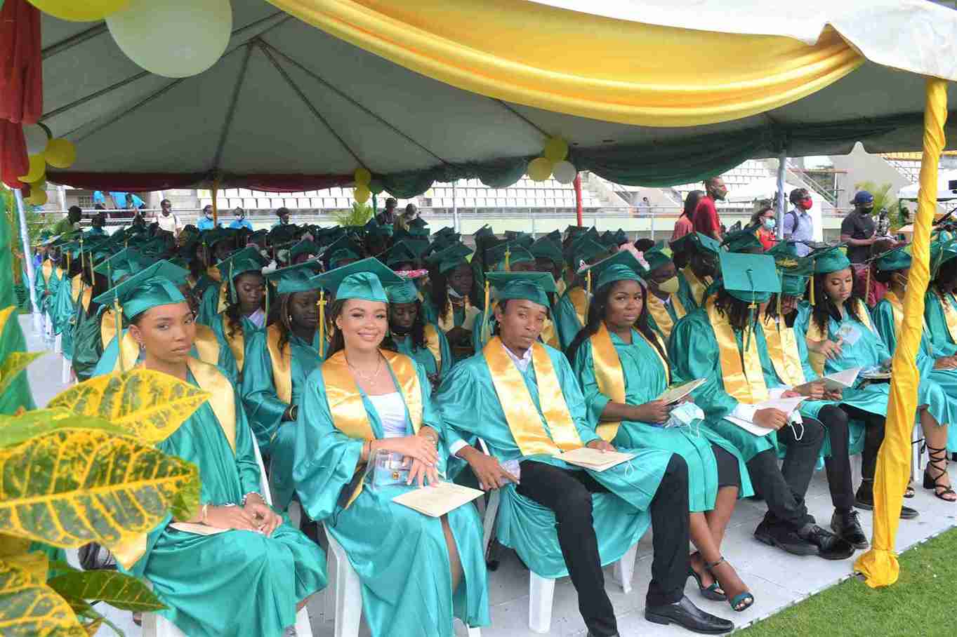 راه های مهاجرت به دومینیکا