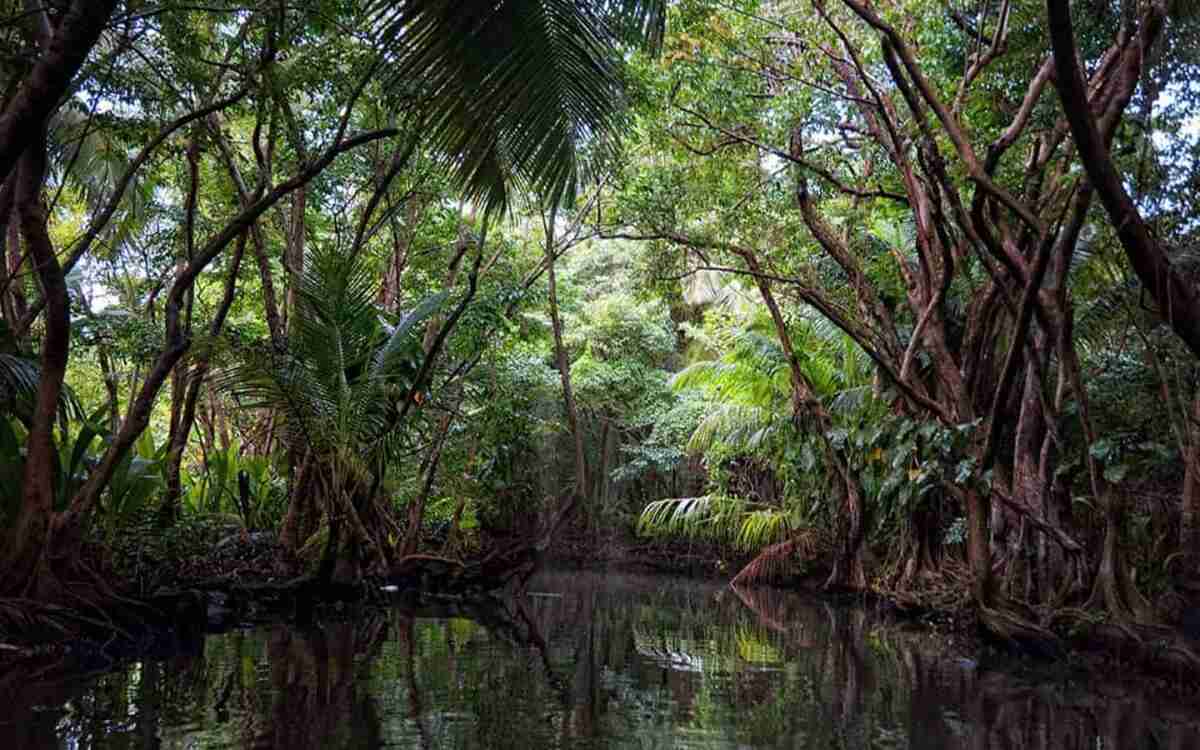 بهترین جاهای دومینیکا