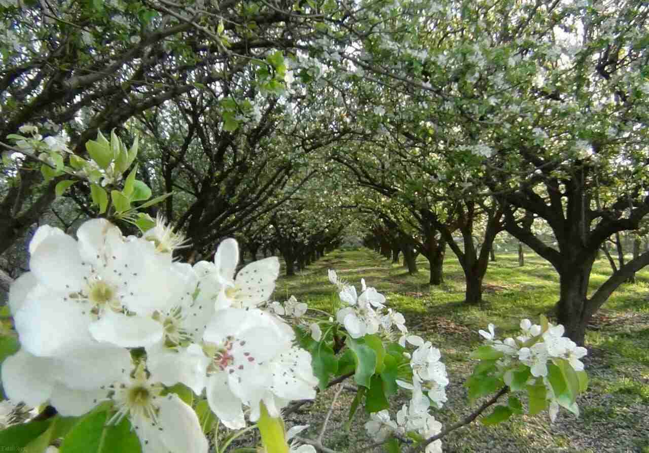 بهترین زمان سفر به همدان