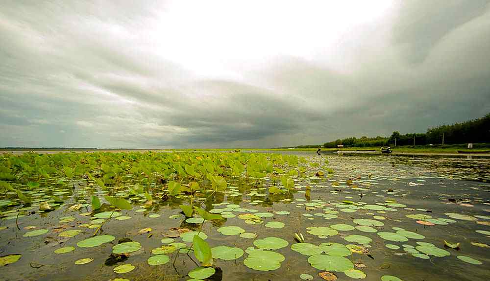  تالاب بندر انزلی