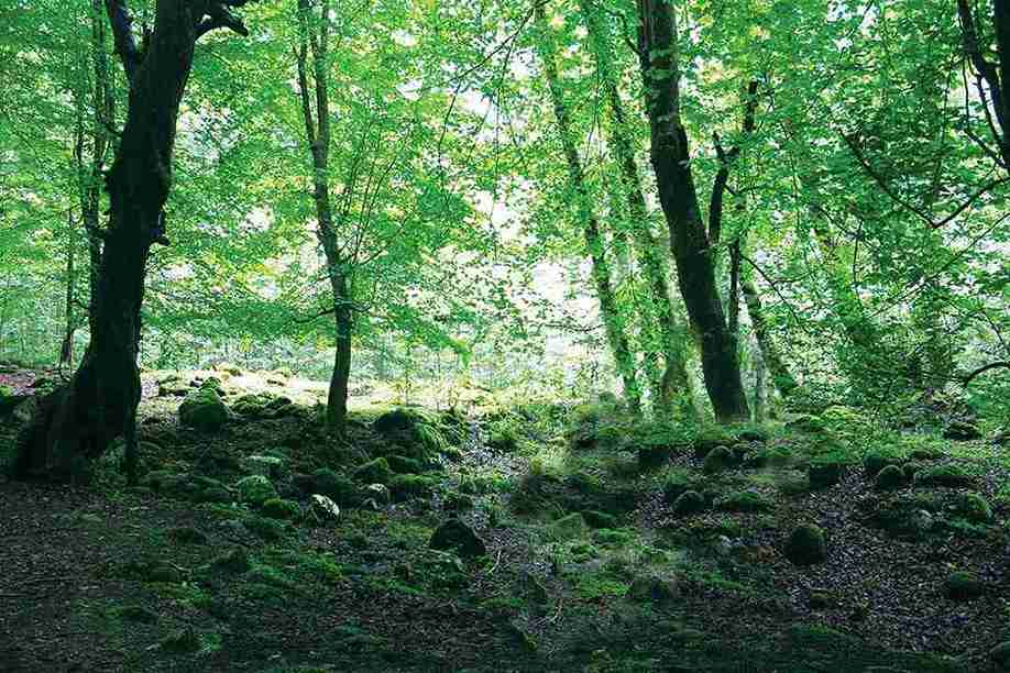 جاهای دیدنی چالوس