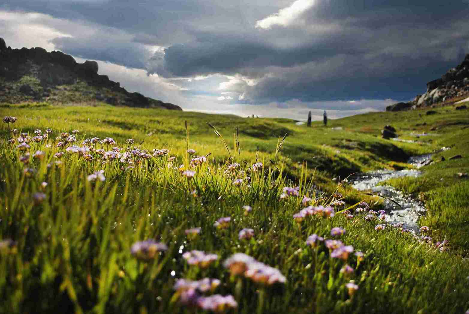 دشت میشان همدان