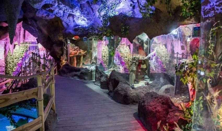 دشت میشان همدان