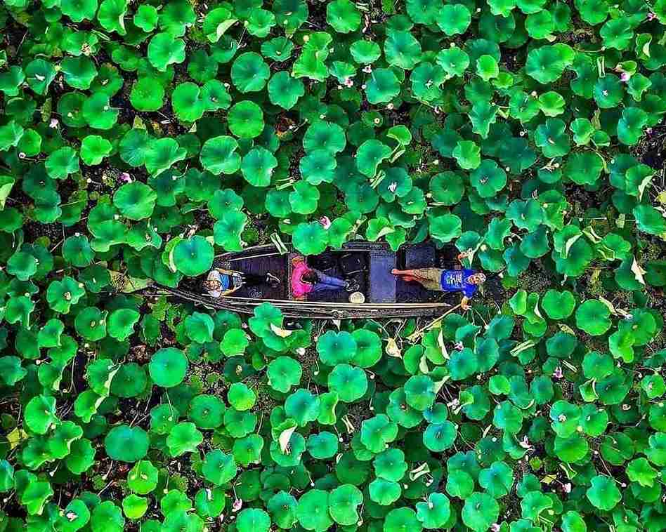  تالاب بندر انزلی