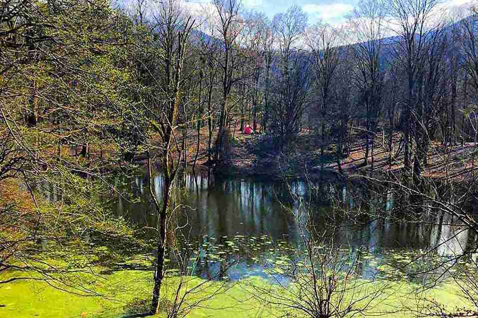 راهنمای سفر به چالوس