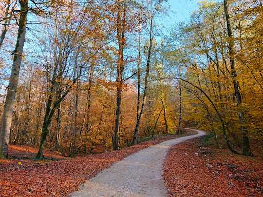 بهترین زمان سفر به لاهیجان